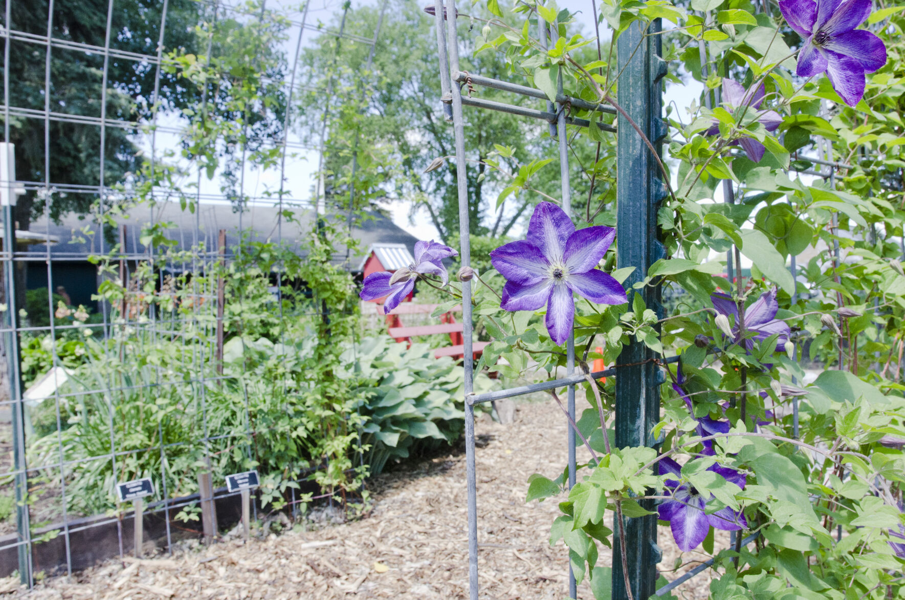 Teaching garden_4.jpg